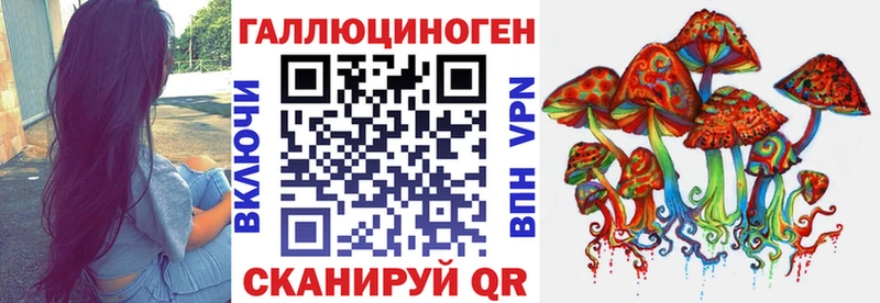 Галлюциногенные грибы Psilocybe  Сорочинск 